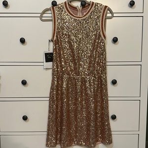 Anna Sui Sequin Dress